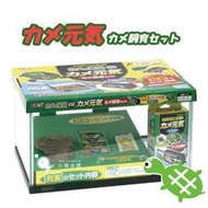 小郭水族-日本 GEX 五味【GEX 烏龜套缸】烏龜缸 巴西龜 長尾龜 屋頂龜