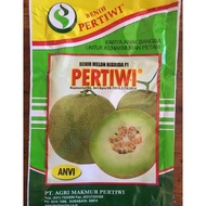 New Benih Bibit Melon Pertiwi Anvi Terlaris