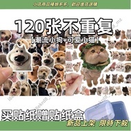 New Arrivals] 120 Sheets ins Style 60 Cute Cat Puppy Stickers Cute Pet Animal Cat Cat Decoration Mob
