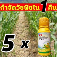 กำจัดวัชพืชใน 1 คืน ปกป้องข้าวโพด ยาฆ่าหญ้าในข้าวโพด เข้มข้นสุดๆ รุ่นเข้มข้น 1 ขวด ผสมน้ำ 18-20 ลิตร ยาฆ่าหญ้าข้าวโพด ฆ่าหญ้ารอบข้าวโพด กำจัดวัชพืชเท่านั้น ไม่ทำลายข้าวโพด ยาฆ่าหญ้าไร่ข้าวโพด กำจัดหญ้าในไร่ข้าวโพด ยาฉีดหญ้าข้าวโพด ฆ่าหญ้าข้าวโพด ยาฆ่าหญ้า