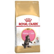 Royal Canin Kitten Mainecoon 400gr
