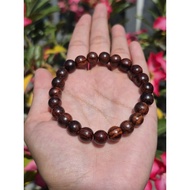 KAYU Agarwood Bracelet / 8mm Lakah Agarwood Bracelet