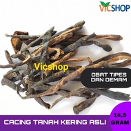 Cacing Tanah Kering untuk Tipes - 14.5gr(dewasa)