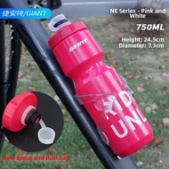 Sport BPA-Free Water Bottle