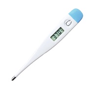 Buzzle Digital Thermometer/ Thermometer