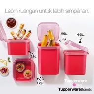 9'2146* Tupperware Signature Series/ Tupperware Ezy Keeper Square 1.2L / 2.6L / 4.0L / 5.5L