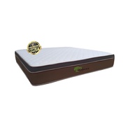 Lil Prairie - 13" Pocket Spring Euro Top Mattress | Queen Size | King Size | Free Delivery