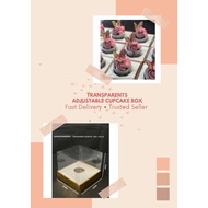 transparent muffin/cupcake box adjustable 1 holes/kotak cupcake
