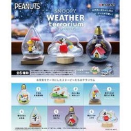 全新現貨 代理版 正版 RE-MENT 史奴比 SNOOPY WEATHER 天氣 瓶中造景 盒玩 史努比 REMENT