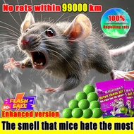 【24-hour shipping】penghalau tikus