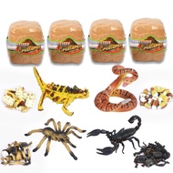 Bekalan Terus Kilang Pemasangan 4D Model Haiwan Gurun Model Ular Pemasangan Haiwan 4 Jenis Setiap Ko