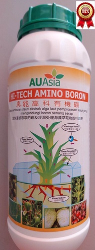 HI-TECH AMINO BORON 1L