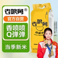 老娘舅 当季新米 香稻米大米 5kg 香软弹 10斤 专用 珍珠米 粳米