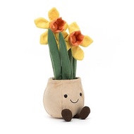Amuseable Daffodil Pot 趣味水仙花盆栽