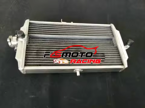 Aluminium Radiator For 1987-1994 HONDA RS125 GP125 GP RS 125 RS125GP RS125R R NF4 RACE BIKE