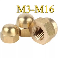 Copper Cap Type Nut Cap Nut Nut Nut Copper Nut/M3/M4/M5-M16 (YL-VN)