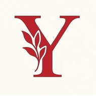 CODE Y (9 AUGUST 2026)
