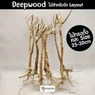 กิ่งไม้ Deepwood ทรงตั้ง สำหรับจัด Layout ตกแต่งตู้ปลา ตู้ไม้น้ำ คละแบบ