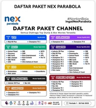 Paket Basic Nex Parabola