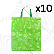 曉群製品 - 10個節慶禮品袋 | 清新綠色 | 生日 公司年會 派對 復活節 父親節 兒童節 聖誕節 新年 | 送禮 廠價特惠裝環保袋 多用途不織布袋 | 自家設計 百搭萬用袋 | 綠色 SK-GR