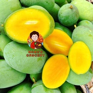 1KG Organic Kwini/ X cod READY STOCK  Local MANGO KUINI/香芒果😋