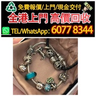 潘朵拉 Pandora 925純銀手鍊，銀飾，銀器，足銀   925 銀、手鐲、戒指、項鏈、耳環、擺件、銀幣、餐具、紀念銀章，舊銀、老銀器、銀手鐲、龍鳳銀飾、銀戒指、銀項鏈、舊銀擺件、銀幣、銀餐具，老