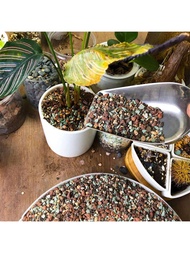 Mix Horticultural Lava Rock Pebbles Pumice Potting Soil Amendment Succulent Cactus Bonsai Gritty Roc