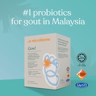 Microbiome Gow Probiotic Lactobacillus rhamnosus GG + Prebiotic Chicory Inulin Gout Supplement 30s