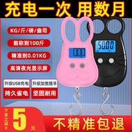 Portable Electronic Scale 50kg Small Household High Precision Mini Luggage Shopping Spring Scale 8.6