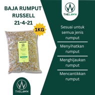 [1KG] Baja Rumput Karpet  Russell Baja Russell Premium + Humic Acid The Lawn