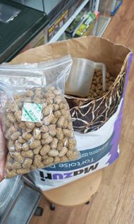 柴灣水中情 Mazuri馬祖瑞陸龜糧飼料1磅分裝 原味 #5M21