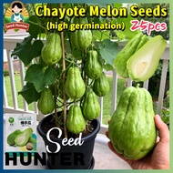 High Yield Organic Chayote Seeds for Planting Vegetables Plants (High Germination 25 Seed) Sayote Ch