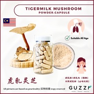 Guzzi Herbs Tiger Milk Mushroom 川贝虎乳 虎乳灵芝 虎乳芝 老虎奶 止咳化痰 鼻敏感 Cendawan susu Harimau  Guzzi Herbs