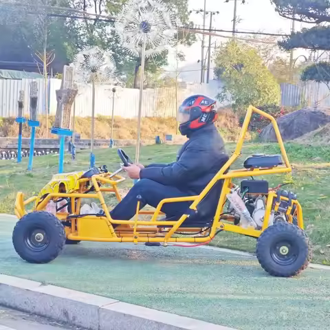 Speed High 125cc Go Kart Engine with Reverse Performance Fast Commercial Go Karts for Sale Racing Tr