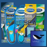 Dr. Scholl's Collections