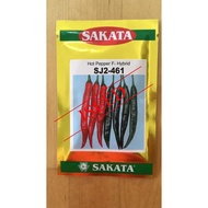 (Sakata) Hot Pepper F1 Hybrid 461 10gram