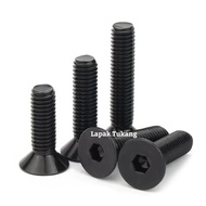 10pcs Black Stainless Bolts L JF M2x5 M2x6 M2x8 Black Bolts 304 M 2 Countersunk ORIGINAL