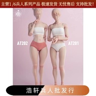 Durable WorldBox 1/6 Soldier Female Body Joint Movable Standard Version AT201 Fat Leg Version AT202