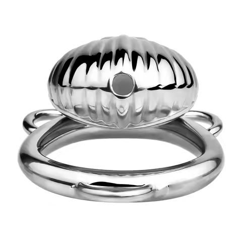 FRKO Shell Design Male Chastity Cage Chastity Belt Device With Anal Plug Stainless Steel 정조대 BDSM Vi