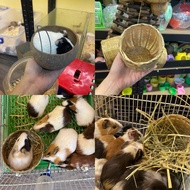 Coconut shell bed and woven bamboo bed for squirrels, bugs, hamsters.