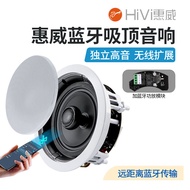 HiVi Bluetooth Ceiling Audio Embedded Store Background Music Coaxial Speaker Wireless Ceiling Speaker