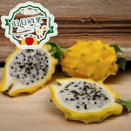 全城熱賣 - 厄瓜多爾麒麟果 原箱 (6-8個)