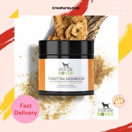 Four Leaf Rover | Turkey Tail Organic Mushroom Extract For Dogs