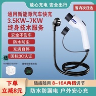 Star Flying Man New Energy Car Universal Fast Charge 3.5KW7KW Charging Gun with Car Charger Househol