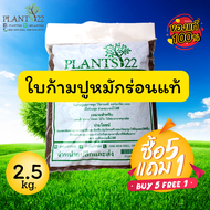 ใบก้ามปู หมัก ร่อน แท้ 100%  2.5 กิโลกรัม ซื้อ 5 แถม 1 ไม่ผสมดิน พร้อมปลูก เหมาะกับ บอนสี ไม้ด่าง ไม้ดอก ไม้ใบ ไม้ฟอกอากาศทุกชนิด แคคตัส