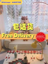 🌟包送貨- 懶人梳化床榻榻米日式折疊沙發床 單人雙人坐臥兩用sofa bed