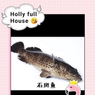 Seafood Grouper Fish 海鲜石斑鱼