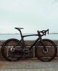 東麗T900碳纖 正品行貨最新款 Pinarello Prince Fx 皮納 王子 碟剎公路車 disc roadbike
