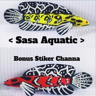 CHANA GALAK YELLOW SENTARUM STATUE, RED BARITO 15-20CM