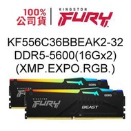金士頓 FURY Beast 32GB DDR5 5600 16G X2支 RGB EXPO 記憶體 KF556C36BBEAK2-32